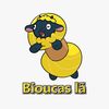 Bioucas lã
