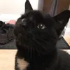 loumoo00