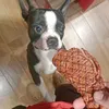 zuesmeerpwaa