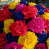 user04341550