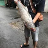 tien_nguyen111283