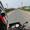 alish_vines01