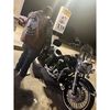 lion_g66