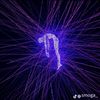 arga_freen12