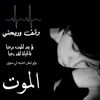 user3419452686837