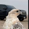 مـحـمـد,بـن,رايـد,الـيـامي