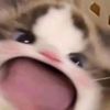 salsabilluvyu