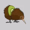 kiwi_0496