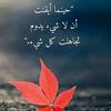 _abdelrahman_266