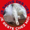loic27800
