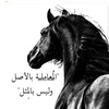 fahad_bh99