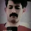 aliqasem37