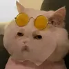 meow_pubgm