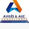 aviles.auz.consultores