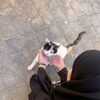 besma_a.a