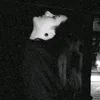 nn.dn