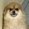 anaabeavb