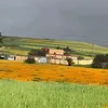 dalamlil