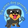 bigpaws2022