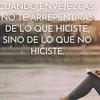 frases_11940