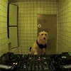 cookie_kiki3282