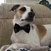 frankieoliverthompson