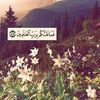 radwaraafat06