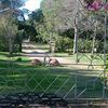amoneirocasasdecampo