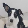 ktipotab