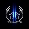 wellingtonfranco.ofic.tm