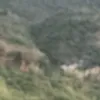 lilyyhv