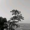 aadh_rn