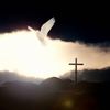 Jesus Christ is King