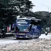 busmania804