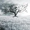 user19676227