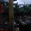 anggaanggok