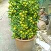 faisal_khan000000