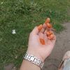 user56136947