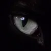 a.catty.cat