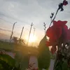 noenkzn_03