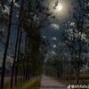 usernamr.123_1