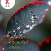 dhanushkabandara5