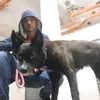caniscanisoff