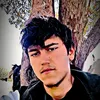 shayda040