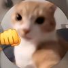 pollo_broster_wazasiano