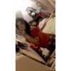 selena81257372