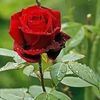 user002070123