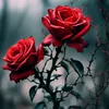 darkash_floerish
