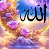 hayamhassan02