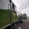 olliebrooke200